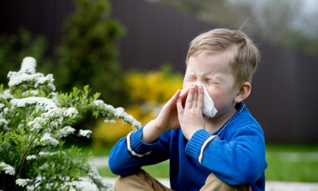 İnatçı Bahar Alerjisinde Aşı İle Tedavi Mümkün