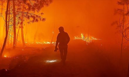 AB, Orman Yangınlarıyla Mücadele İçin Fransa’ya Uçak Gönderdi