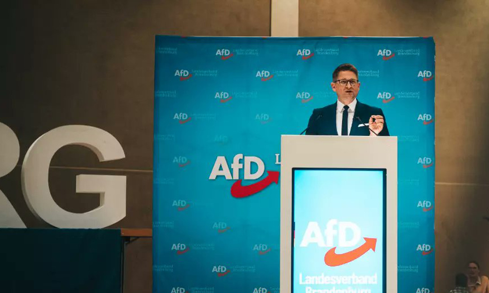 AfD Milyonlarca Göçmeni Sürgün Etme Planını Tekrarladı